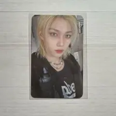 Stray kids スキズ KARMA フィリックス ZOO FANS 特典