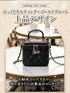 Rady ノベルティ キルティング ミニバニティのサムネイル