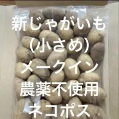 新じゃがいもメークイン（小さめ) ９００g以上農薬不使用ネコポスのサムネイル