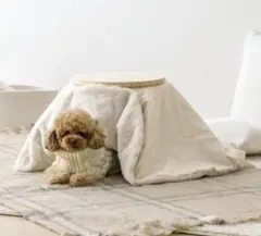 Item thumbnail for item 5367bf81-4477-40e8-bdf5-0dac76a3f333