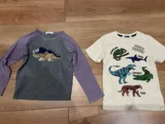 SLAP SLIP 恐竜スパンコールカットソー　H&M スパンコール Tシャツ