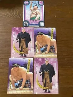 大相撲 トレーディングカード 7枚セット まとめ売り - メルカリ