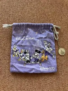 ディズニー100周年記念デイバッグ メタリックシルバー美品 ディズニー100周年記念デイバッグ メタリックシルバー美品