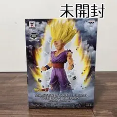 2025年最新】Msp 孫悟飯 スペシャルカラーの人気アイテム - メルカリ