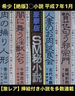 絶版】秘小説96年6月 結城彩雨 香山洋一 　　　前田寿按 楡畑雄二 椋陽児 他 絶版】秘小説96年6月 結城彩雨 香山洋一 前田寿按 楡畑雄二 椋陽児 他