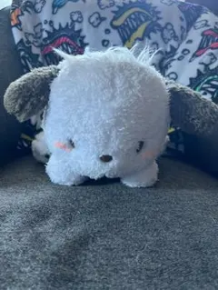 サンリオ ポチャッコ 寝そべりぬいぐるみ