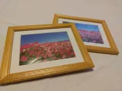 コニカミノルタ 写真額縁 フォトフレーム 2個セット - メルカリ