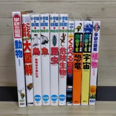 2026年最新】図鑑neo dvdのみの人気アイテム - メルカリ