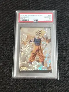 ドラゴンボールヒーローズ H2-11 PSA10 ドラゴンボールヒーローズ 旧弾 H2-11 孫悟空 PSA10 最高評価