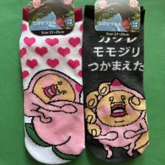 こびとづかん　靴下　【2点セット】まとめ売り