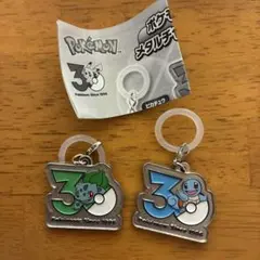 ポケモン 30周年 メタルチャームマスコット ヒトカゲ ゼニガメ - メルカリ