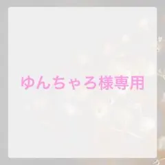 【ゆんちゃろ様専用】
