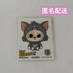 BOYNEXTDOOR トムジェリ　プネクド ステッカー ソンホ　CATBBI