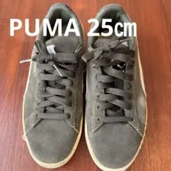 PUMA スニーカー　25㎝