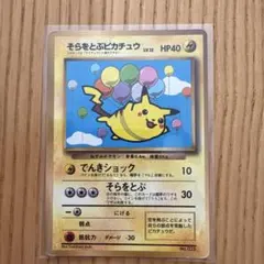 そらをとぶピカチュウ_ANA 「ジェットでゲットだ！Wチャンス
