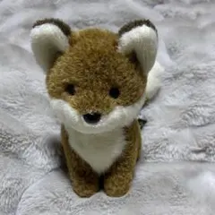 2026年最新】SKB きつねの人気アイテム - メルカリ