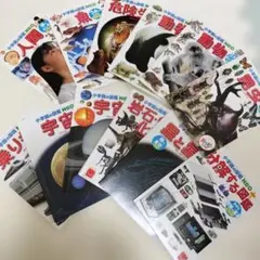 小学校の図鑑NEOシリーズ 　12冊