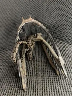 恐竜 化石 アロサウルス 鉤爪 レプリカ 1点のみ - メルカリ