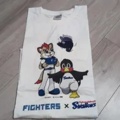 FIGHTERS × Swallows コラボTシャツ　Lサイズ