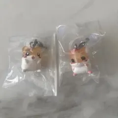 ハムスター倶楽部　めじるしアクセサリー　ガチャしげっちB ジョセフィーヌ　2個