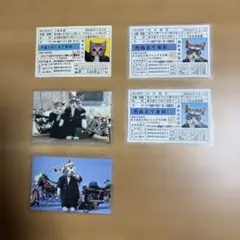 なめ猫 免許証 6月6日