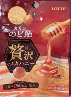 ロッテ カリンのど飴(贅沢マヌカハニー)ミニパウチ 25g×8個のサムネイル