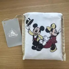 ディズニーストア　東京ディズニーリゾート店　エコバッグ　25周年　エコバ