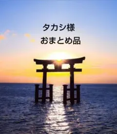 タカシ様 リクエスト 2点 まとめ商品