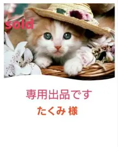 【たくみ 様】えなこ 2Lサイズラミネート 3点 マトメ