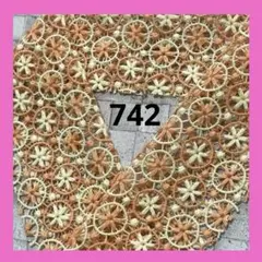 c*i様 ⭐️半襟⭐️ オレンジ系　花サークル刺繍レース　半衿　ハンドメイド　生