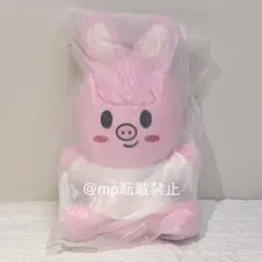 straykids ポップアップ SKZOO HUG ME Ver パピーム - メルカリ