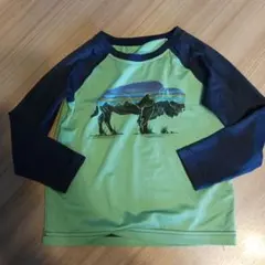 patagonia ラッシュガード 2T