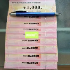 匿名配送 ビックカメラ株主優待券8000円分※期限2025/11/30