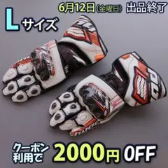 中古美品 Lサイズ HYOD DYNAMIC D3O レーシンググローブのサムネイル