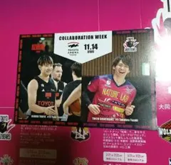 アルバルク東京　東京グレートベアーズ　コラボウィーク　ポストカード　非売品