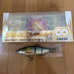 2026年最新】ダウズスイマー240の人気アイテム - メルカリ