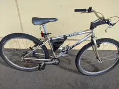 P*P様 oldmtb フレームのみ　YOSEMITE 秋 * * #oldmtb ヨセミテターミネーター マウンテンキャットと