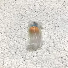 お文具といっしょ めじるしアクセサリー ゼリーさん ガチャ