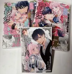 召使い令嬢は国境を越え、敵国の公爵騎士様に溺愛される1 ・2巻　特典付き♪