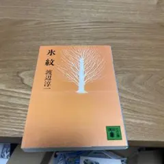 【まとめ買いで150円】氷紋 渡辺淳一