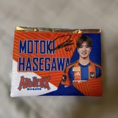 アルビレックス新潟　長谷川元希　フラットポーチ