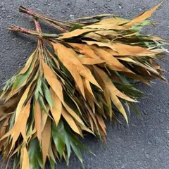 kikurin728様 リクエスト 2点 まとめ商品