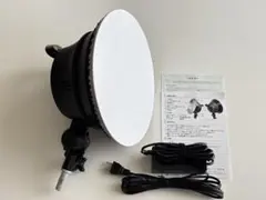 Item thumbnail for item 10dc366f-813e-4d3f-bc8c-65ec65415af9