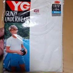 煮*華様 GUNZE　YG メッシュ 半袖丸首 Tシャツ L