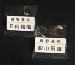 ハイキュー トレーディング名札クリップ セレクション 日向翔陽 影山飛雄
