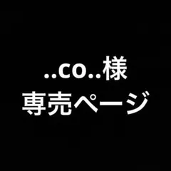 ..co..様専売ページ　ディズニーキャラクターピンバッジ2種のサムネイル