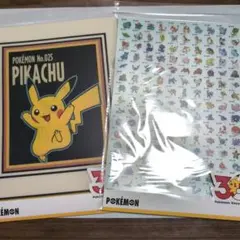 ポケモン 3COINS コラボ クリアファイル 2点セット