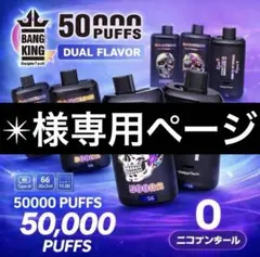 ✴︎様専用ページ3番