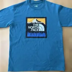 THE NORTH FACE 緑　Tシャツ Mサイズ