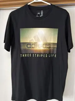 Item thumbnail for item 48c24623-d455-45cf-9b40-938074aa3f47